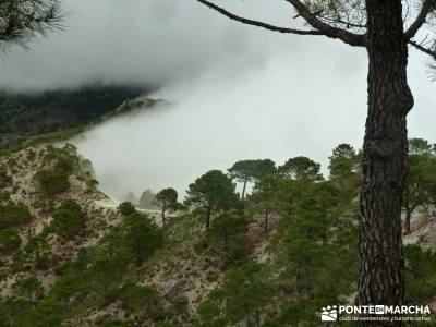 Axarquía- Sierras de Tejeda, Almijara y Alhama; rutas para caminar; ruta de senderismo